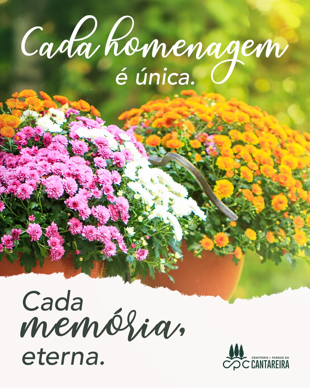 Cada Homenagem — Campanha sazonal