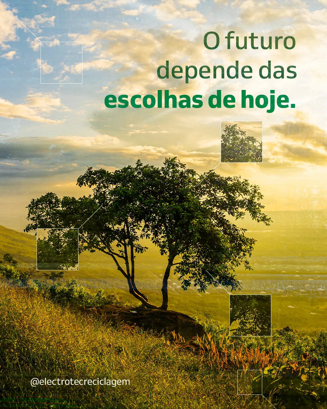 Parque da Cantareira — O Futuro Começa